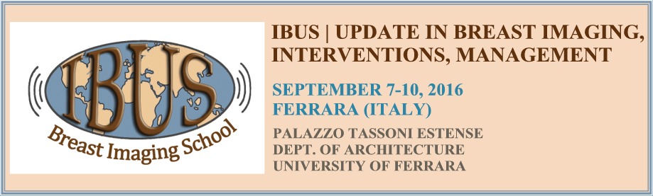 BANNER IBUS new.jpg BANNER IBUS new.jpg